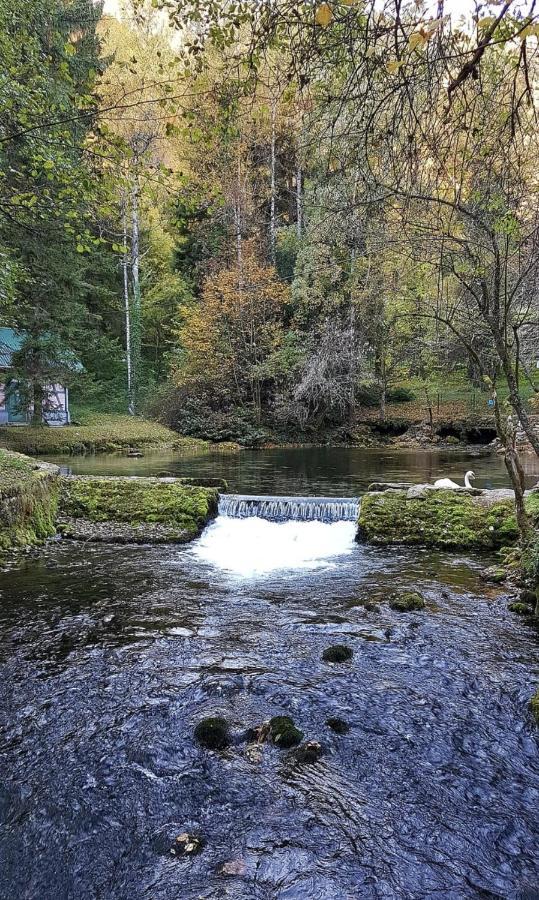 Villa Vrelo Bosne ซาราเยโว ภายนอก รูปภาพ