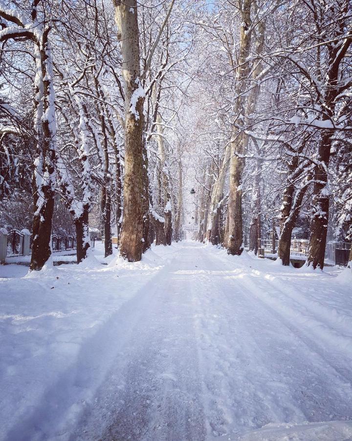Villa Vrelo Bosne ซาราเยโว ภายนอก รูปภาพ